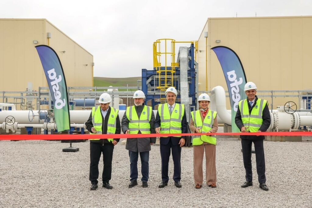 260123190011_Ampelia