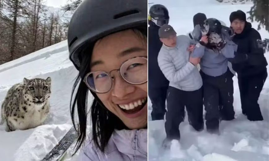 λεοπαρδαλη χιονι