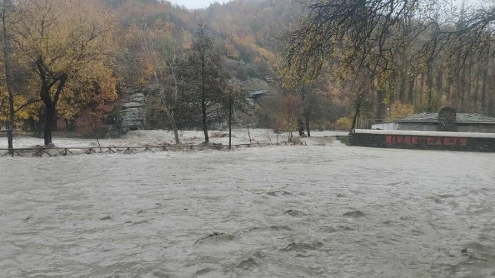 260203162241_Nestorioplimmires