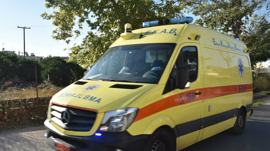 260208100306_ekav_arthrou