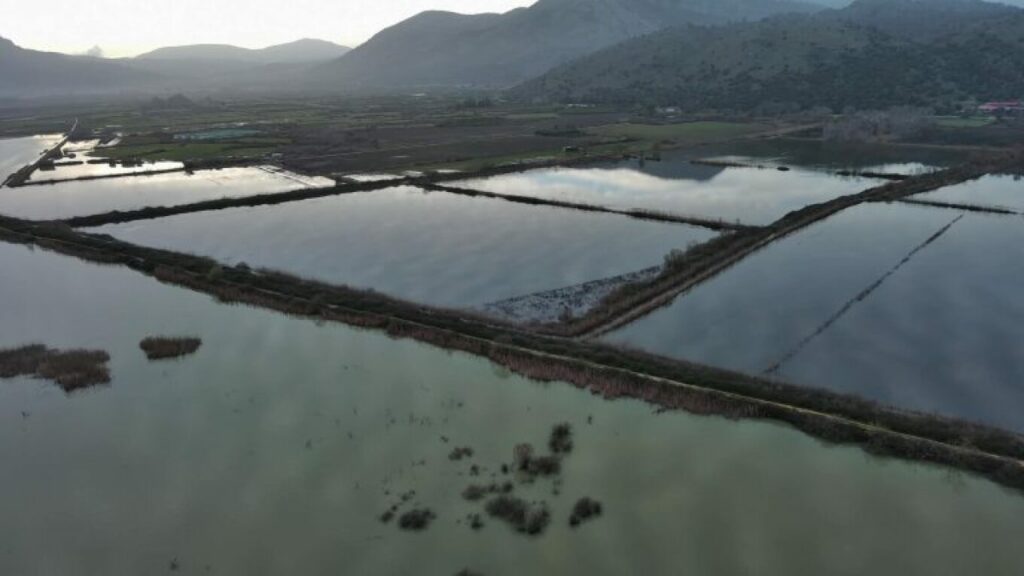 260208111311_louros (1)