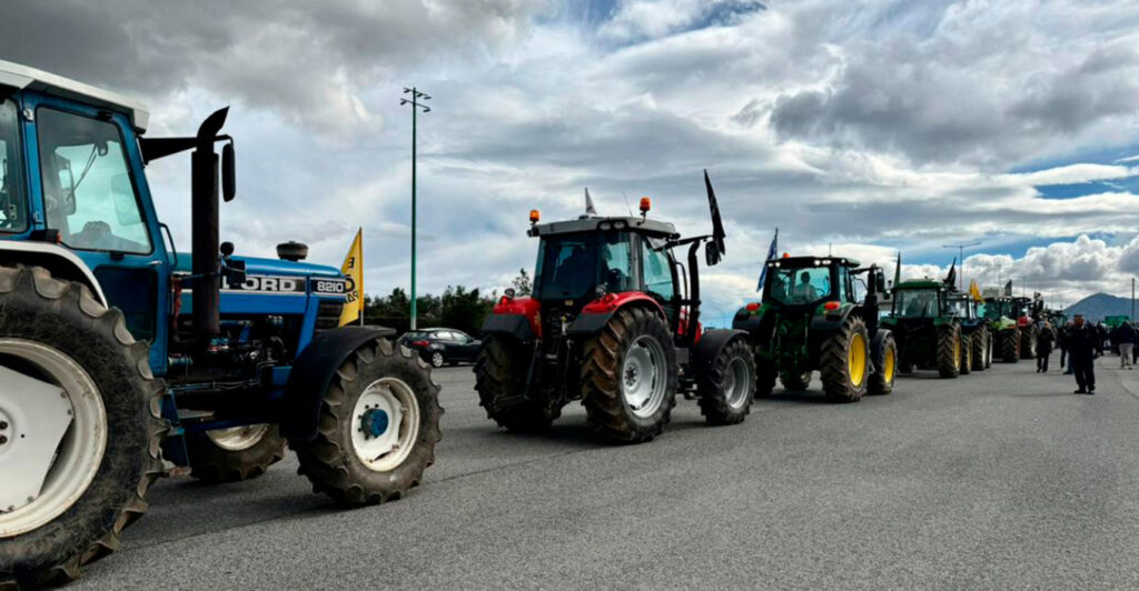 260213164055_agrotes_maketa