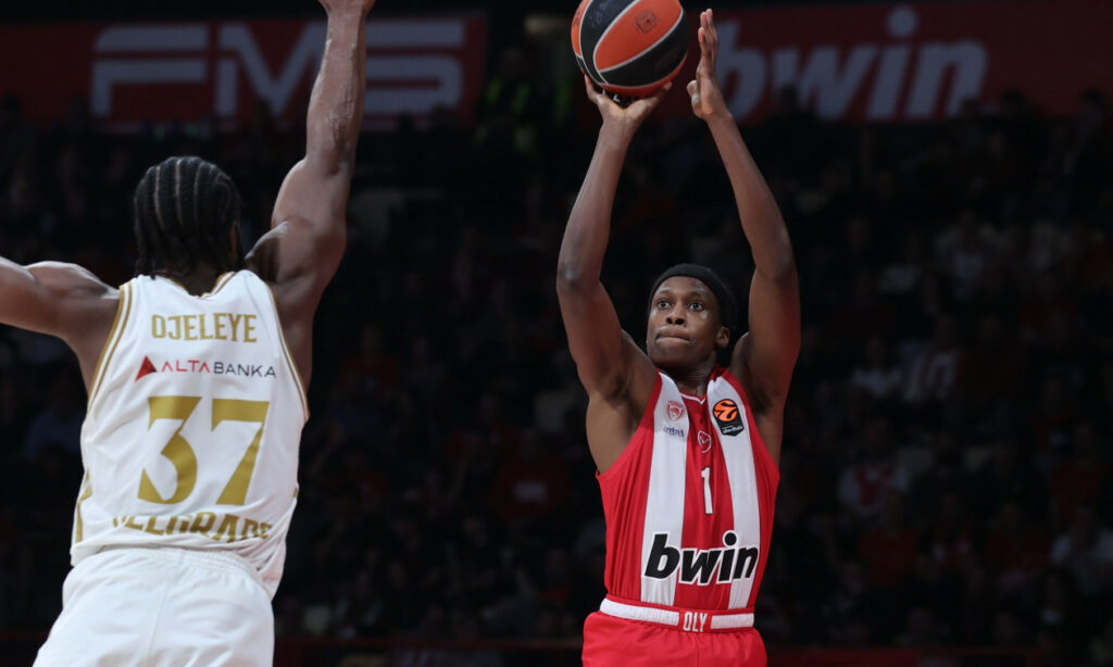 260214142216_2dcc6f6c-5033971