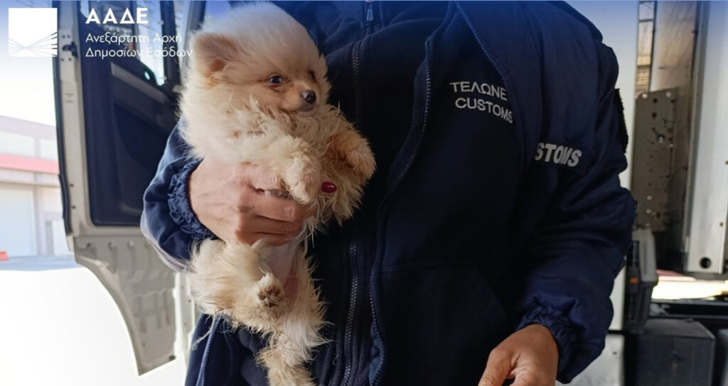 260224182252_aade__2_