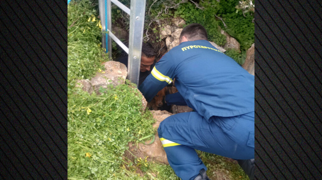 260301203441_xrwma-purosbestiki-diasosi