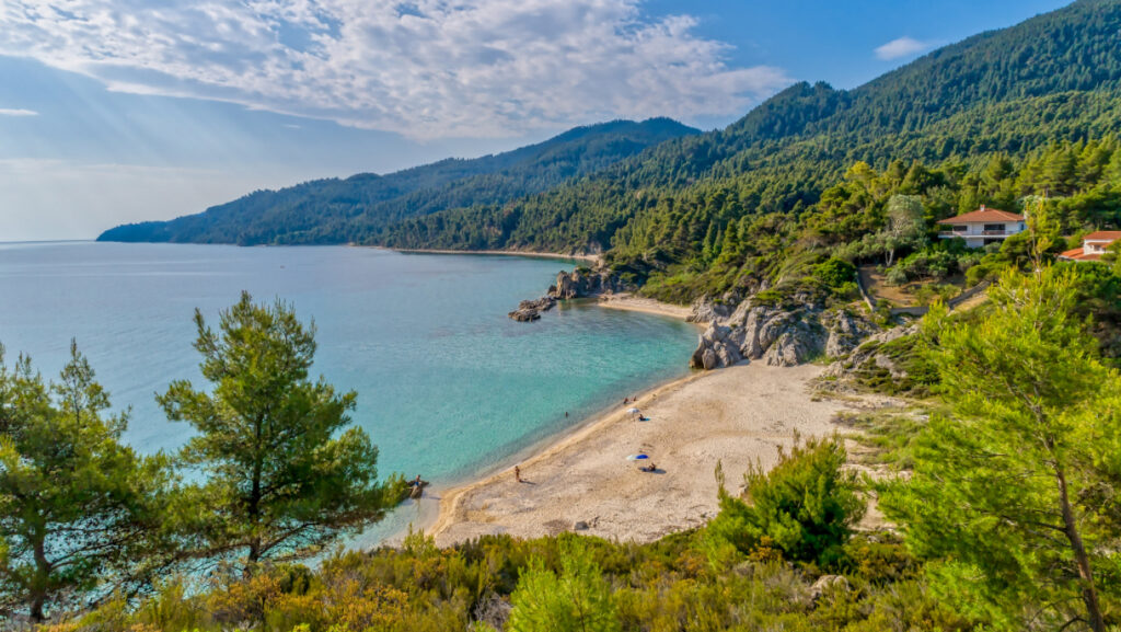 Χαλκιδική: Σε δημοπρασία η γνωστή παραλία «Φάβα» - Αντιδράσεις από κατοίκους και τοπικούς φορείς