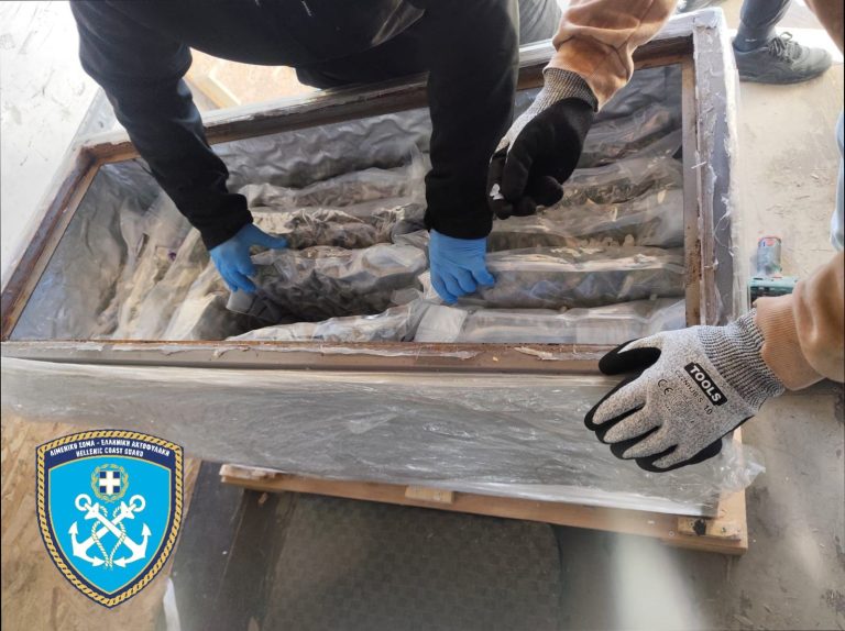 260311173347_kannavi-skunk-1-768×574 (1)