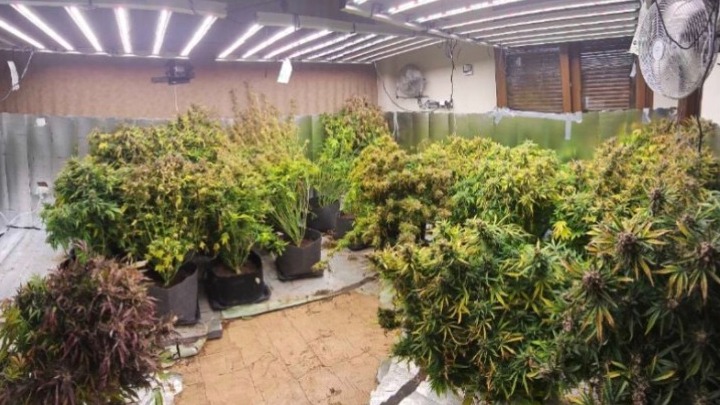 260313194320_w13-18481431584278