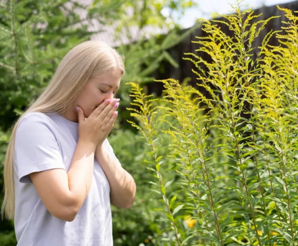 260326154830_allergies1