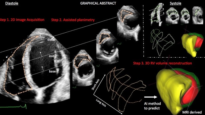 Καρδιολογία