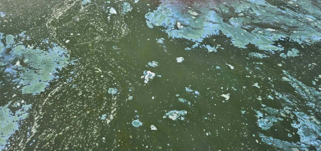 260418120304_ΑΦΡΟΣ