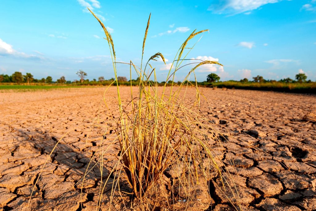 Πιθανή επιστροφή του Ελ Νίνιο από τον Μάιο