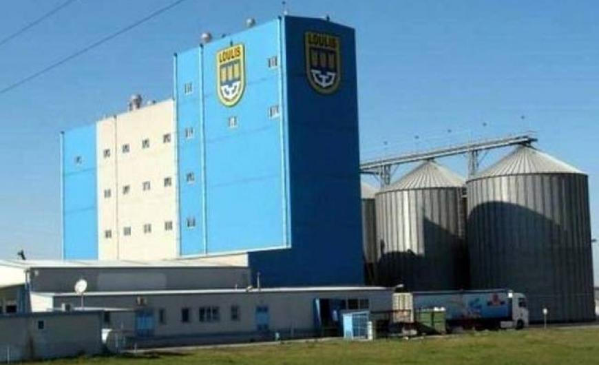 260427184505_myloi_louli_350_3