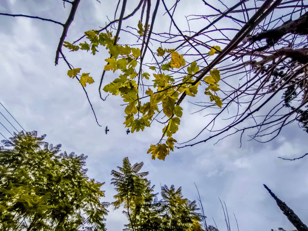 Kαιρός: Αλλάζει το σκηνικό - Βροχές και πτώση της θερμοκρασίας από το μεσημέρι