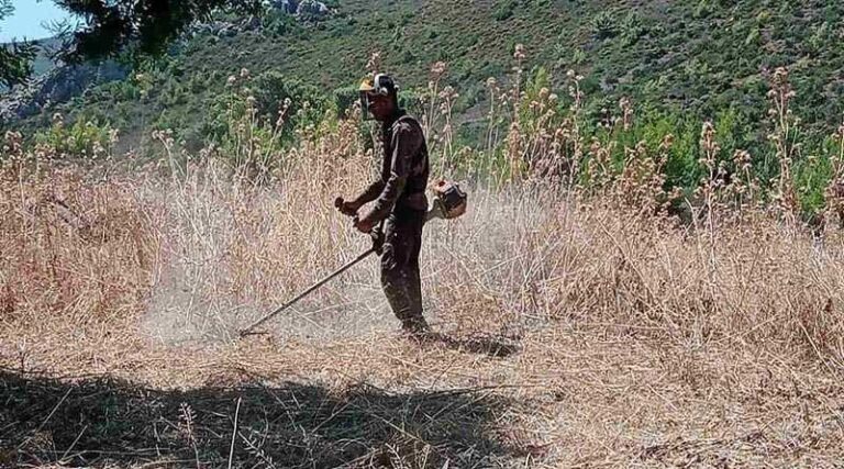 Αντίστροφη μέτρηση για τον καθαρισμό οικοπέδων για την πρόληψη πυρκαγιών