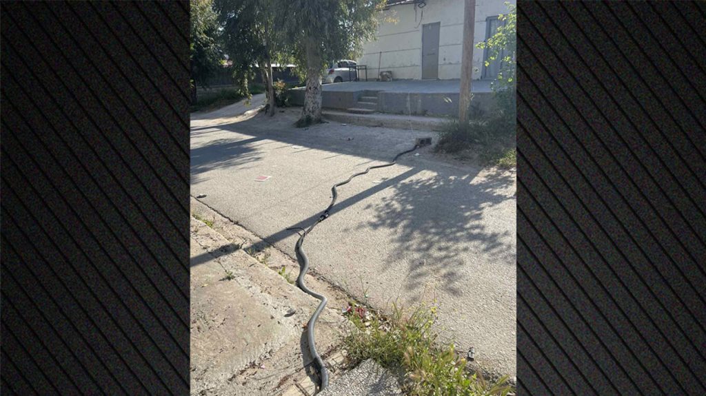 Μεγάλη αστυνομική επιχείρηση σε οικισμό στο Ζεφύρι, 10 συλλήψεις για ρευματοκλοπές