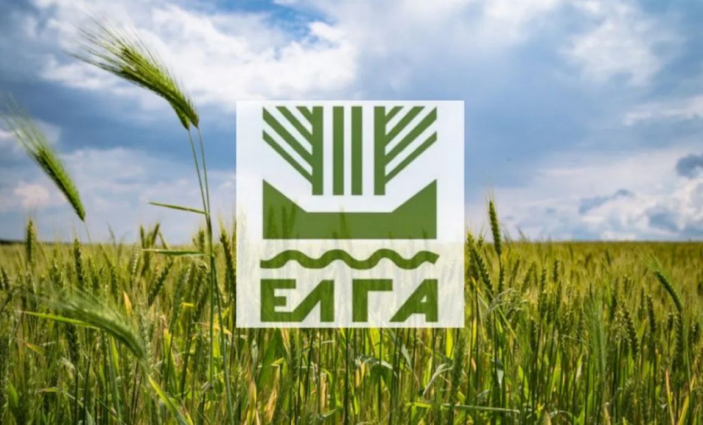 ΕΛΓΑ: Έφτασε η ώρα πληρωμών - Ποιοι παίρνουν αποζημιώσεις σήμερα