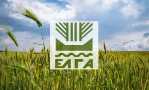 ΕΛΓΑ: Έφτασε η ώρα πληρωμών - Ποιοι παίρνουν αποζημιώσεις σήμερα