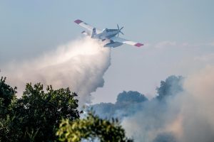 Η φωτιά στην Κορινθία τέθηκε υπό έλεγχο: Άμεση επέμβαση της Πυροσβεστικής, έρευνα για τα αίτια
