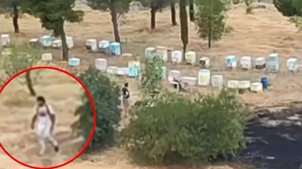 Φωτιά στη Φιλοθέη: Συνελήφθη ο 45χρονος μελισσοκόμος που έβαλε τη φωτιά στο Άλσος Βεΐκου