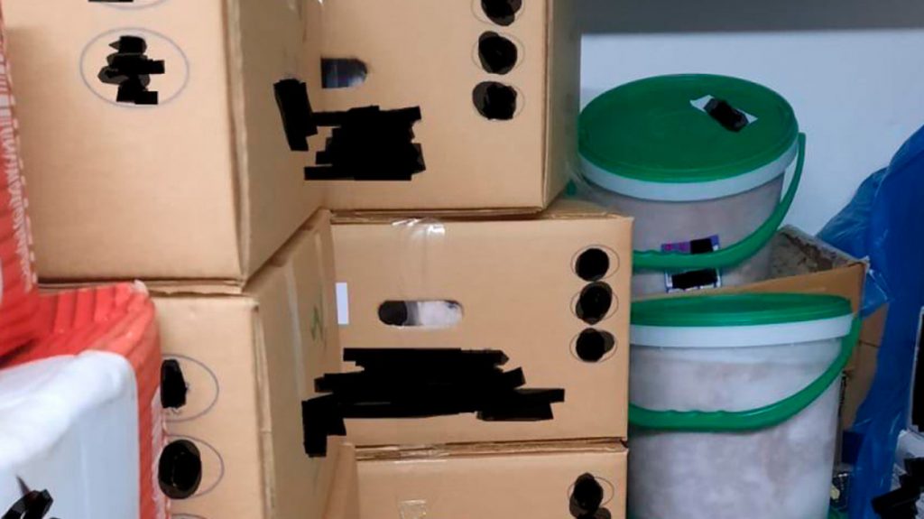 Περιφέρεια Αττικής: Κατασχέθηκαν 5,3 τόνοι ακατάλληλων κρεάτων πριν φτάσουν στα πιάτα των καταναλωτών