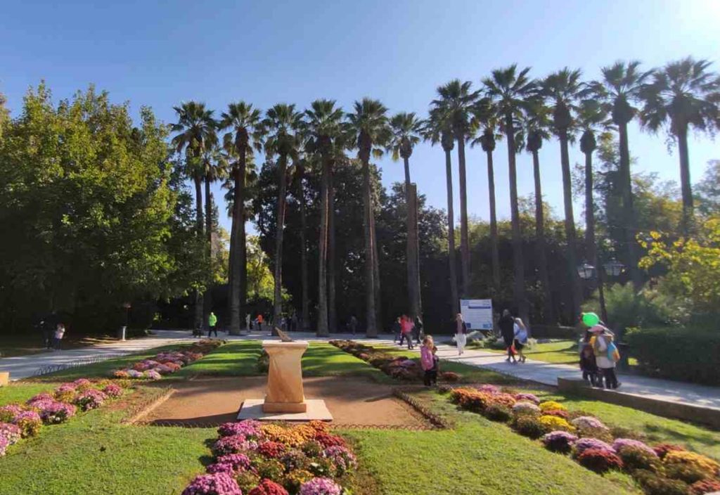 260609211839_zappeio