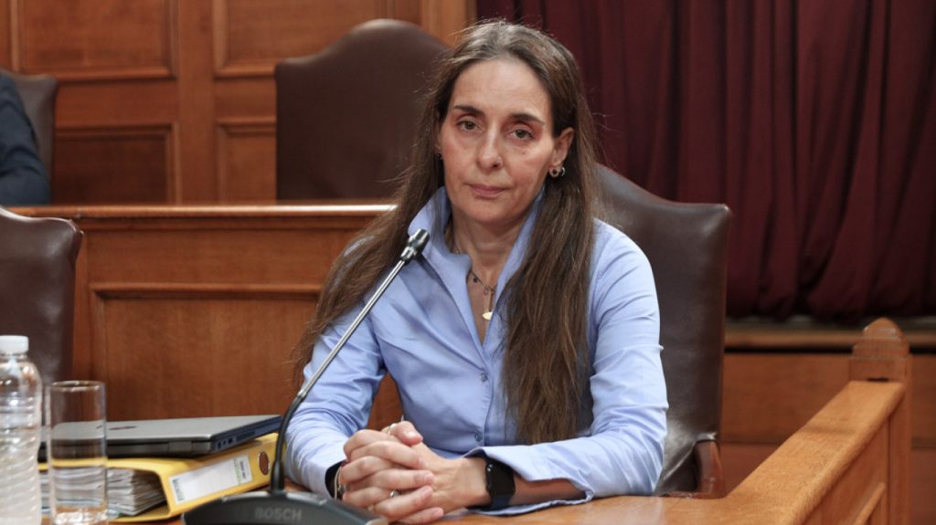 Τυχεροπούλου κατά ΑΑΔΕ: Προσέβαλε απόφασή της, την καταγγέλλει για εκδικητική μεταχείριση