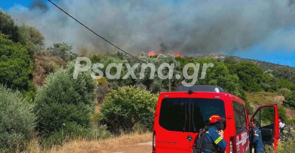 Φωτιά στην Εύβοια