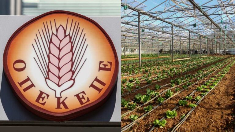 Πληρωμές ΟΠΕΚΕΠΕ: Ποιοι θα δουν χρήματα στους λογαριασμούς έως το τέλος Ιουλίου