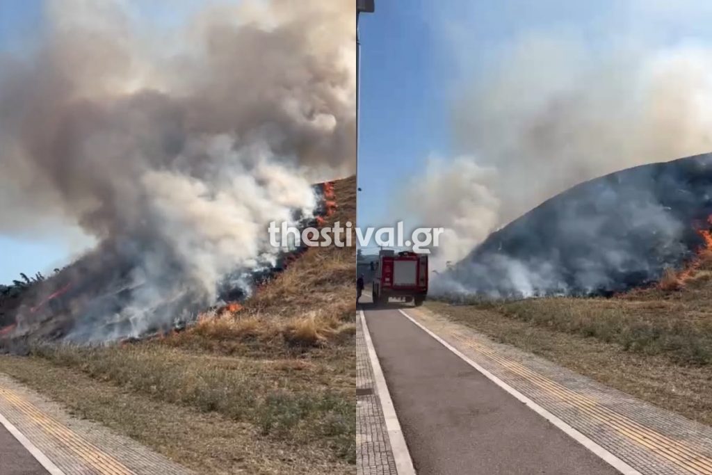Θεσσαλονίκη: Φωτιά στο Φράγμα της Θέρμης - Eπιχειρούν 29 πυροσβέστες με 10 οχήματα