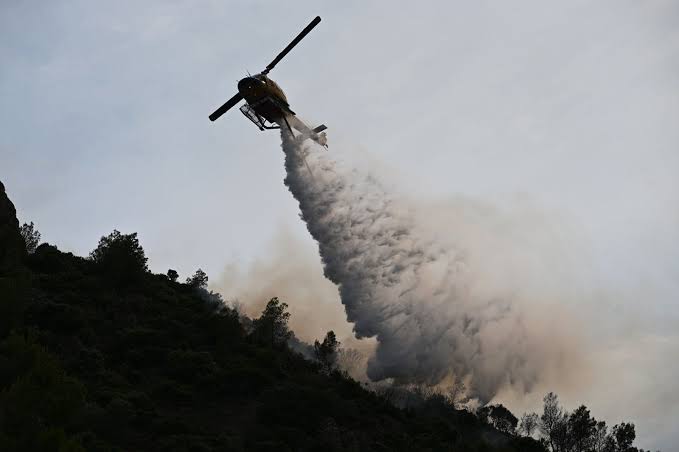 Φωτιά σε δασική έκταση στα Βίλια: Ενισχύθηκαν οι πυροσβεστικές δυνάμεις - Σηκώθηκαν 7 εναέρια μέσα