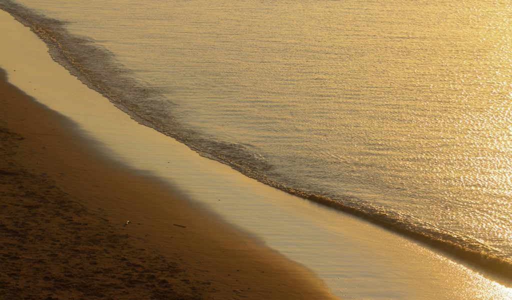 260723162847_paralia