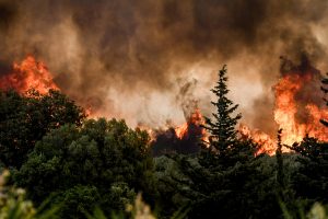 Γαλλία και Ισπανία: Πάνω από 1 εκατ. στρέμματα κάηκαν από τις φωτιές - Ακραία πυρική συμπεριφορά και πυρονέφη