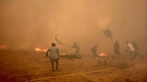 Ισπανία: Στους 14 οι νεκροί από την πυρκαγιά στην Ανδαλουσία – Βίντεο
