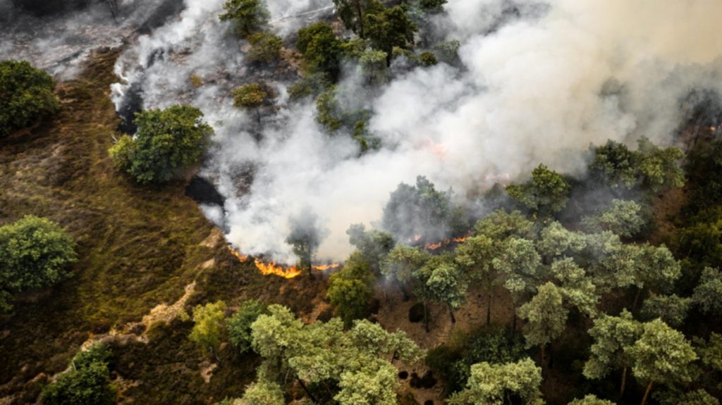 Ολλανδία: Εκατοντάδες πυροσβέστες μάχονται με μεγάλη φωτιά που ξέσπασε χθες - Έχουν καεί τουλάχιστον 1.000 στρέμματα