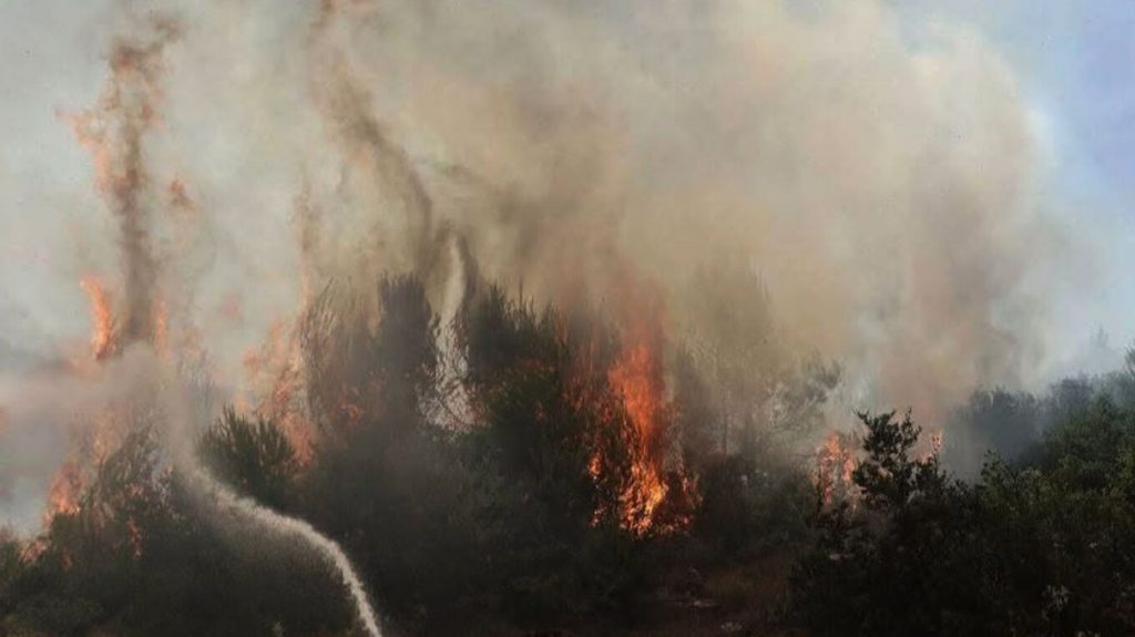 Πανελλήνια Ομοσπονδία Γεωτεχνικών Δημοσίων Υπαλλήλων: Το Antinero έχει συμβάλλει στη μάχη κατά των πυρκαγιών, όχι άλλη υποκρισία