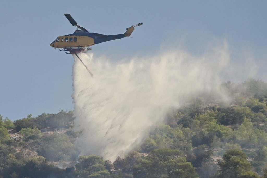Φωτιά σε δασική έκταση στην Θεσπρωτία - Σηκώθηκαν εναέρια μέσα