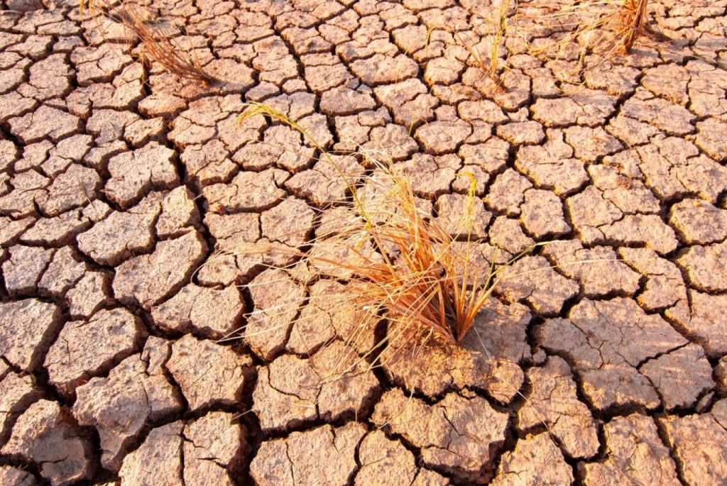 Το ισχυρότερο Ελ Νίνιο εδώ και 100 χρόνια – Ποιες περιοχές απειλούνται με ακραία φαινόμενα