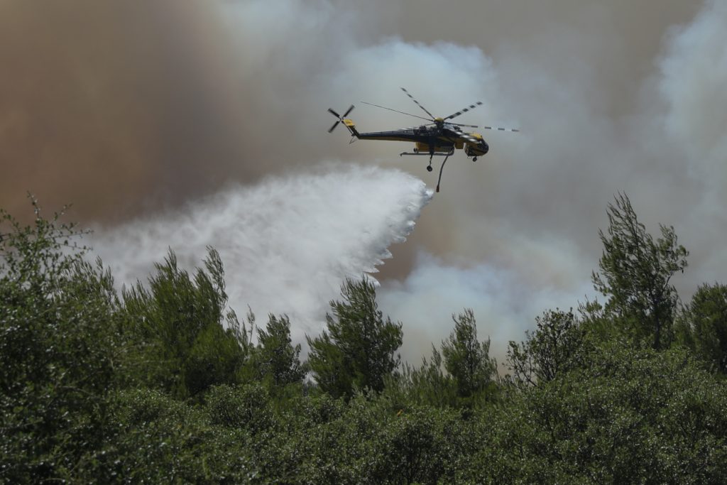Φωτιά τώρα στην Τουρτούγια Λάρισας, καίει χαμηλή βλάστηση