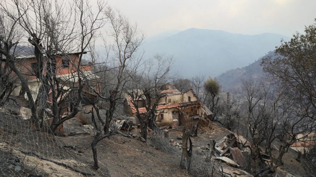 Αλγερία: Θανατική ποινή για τους εμπρηστές θέλει ο πρόεδρος της χώρας