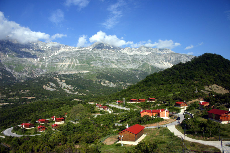 260922141016_ΚΕΔΡΟΣ-ΔΑΣΙΚΟ-ΧΩΡΙΟ