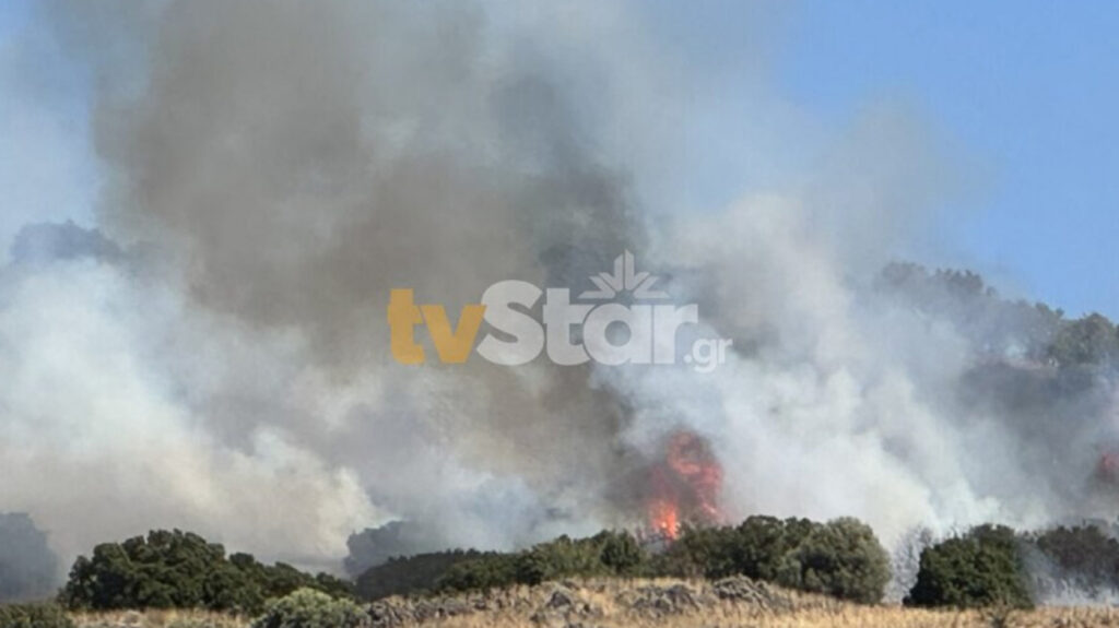 Φωτιά τώρα στη Λαμία, καίει ξερά χόρτα - Σηκώθηκαν 3 εναέρια μέσα