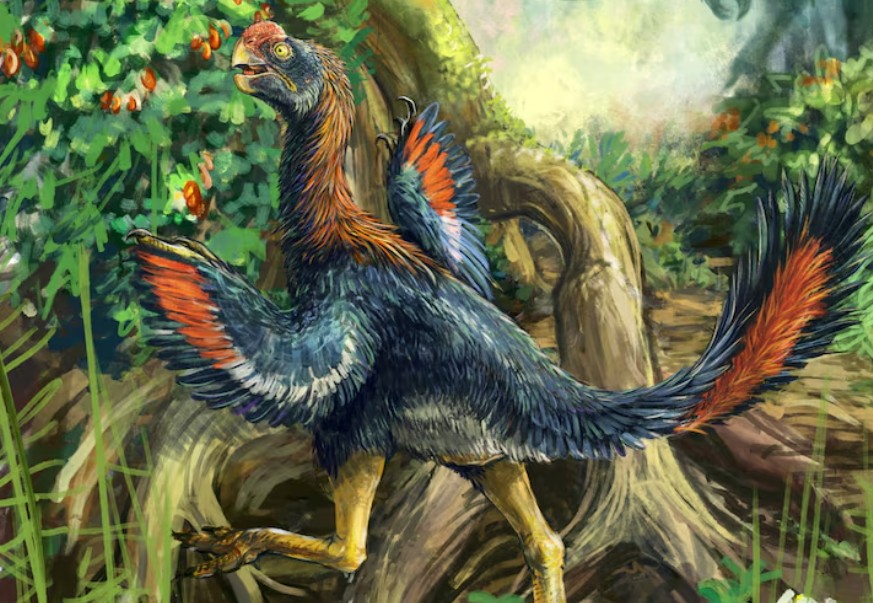 261030184603_deinosauros